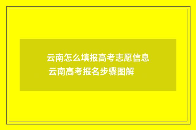 云南怎么填报高考志愿信息 云南高考报名步骤图解