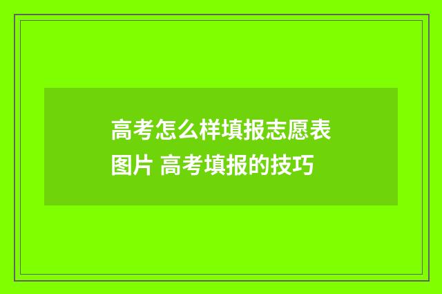 高考怎么样填报志愿表图片 高考填报的技巧
