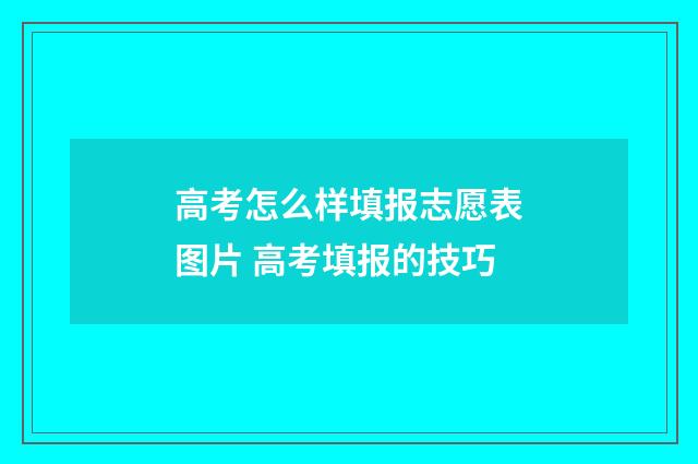 高考怎么样填报志愿表图片 高考填报的技巧