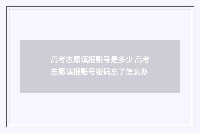 高考志愿填报账号是多少 高考志愿填报账号密码忘了怎么办