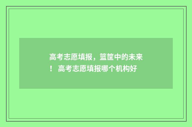 高考志愿填报，篮筐中的未来！ 高考志愿填报哪个机构好