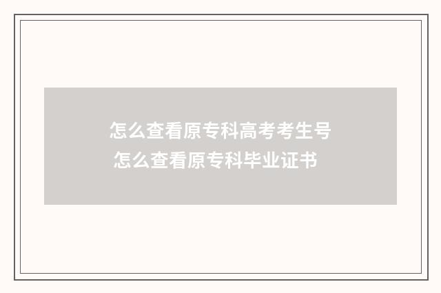 怎么查看原专科高考考生号 怎么查看原专科毕业证书