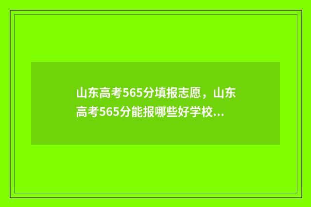 山东高考565分填报志愿，山东高考565分能报哪些好学校 山东高考565分填什么专业