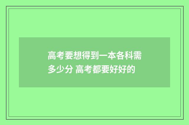 高考要想得到一本各科需多少分 高考都要好好的