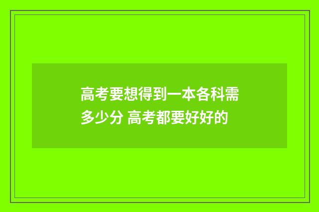 高考要想得到一本各科需多少分 高考都要好好的