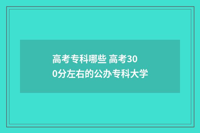 高考专科哪些 高考300分左右的公办专科大学