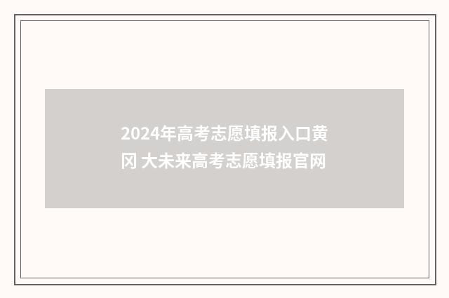 2024年高考志愿填报入口黄冈 大未来高考志愿填报官网