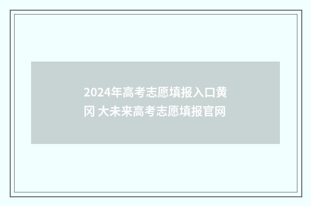 2024年高考志愿填报入口黄冈 大未来高考志愿填报官网