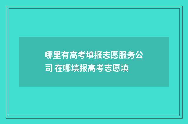 哪里有高考填报志愿服务公司 在哪填报高考志愿填