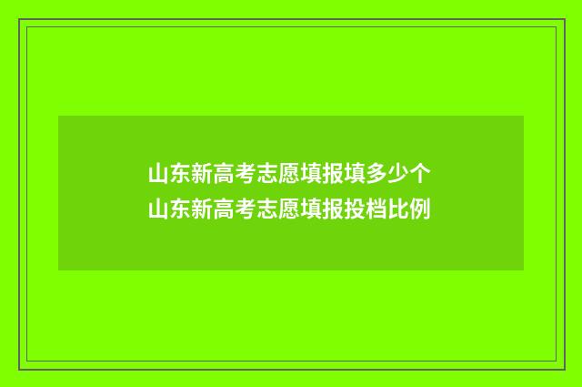 山东新高考志愿填报填多少个 山东新高考志愿填报投档比例