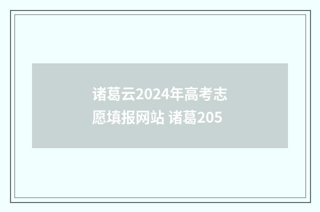 诸葛云2024年高考志愿填报网站 诸葛205