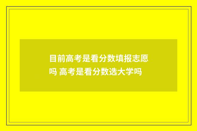 目前高考是看分数填报志愿吗 高考是看分数选大学吗
