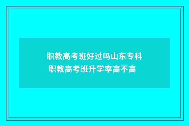 职教高考班好过吗山东专科 职教高考班升学率高不高