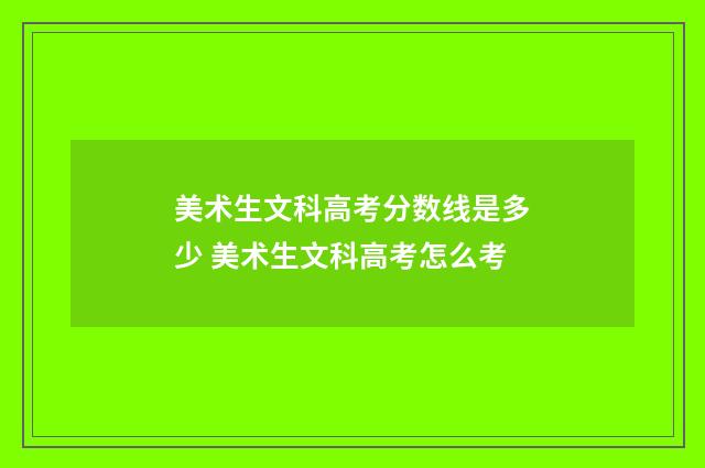 美术生文科高考分数线是多少 美术生文科高考怎么考