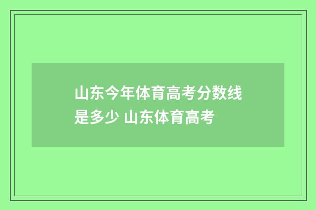 山东今年体育高考分数线是多少 山东体育高考