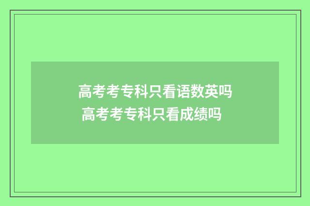 高考考专科只看语数英吗 高考考专科只看成绩吗
