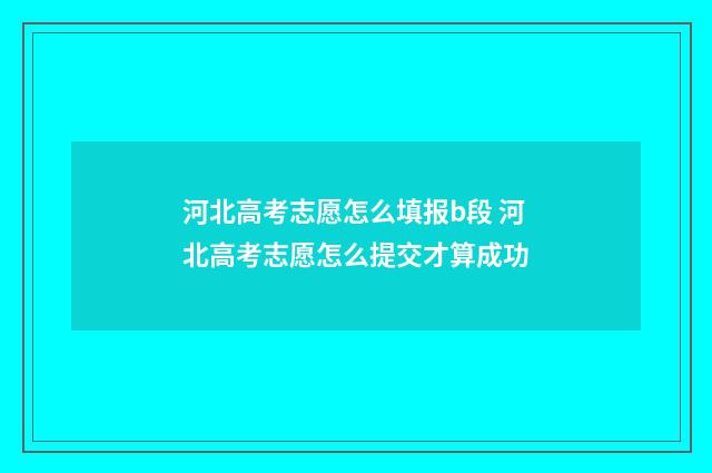 河北高考志愿怎么填报b段 河北高考志愿怎么提交才算成功