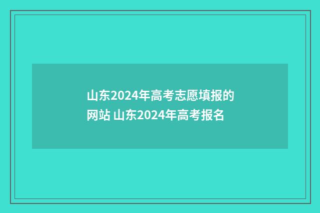 山东2024年高考志愿填报的网站 山东2024年高考报名