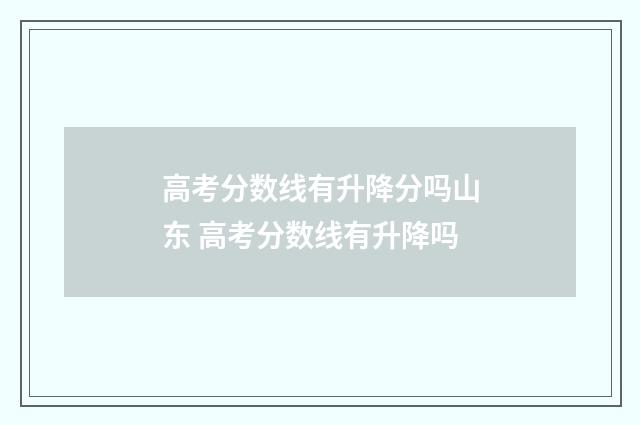 高考分数线有升降分吗山东 高考分数线有升降吗