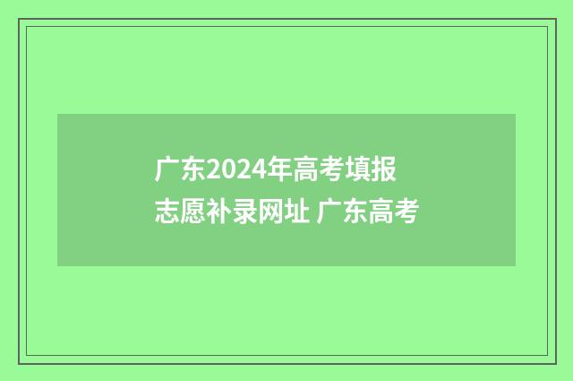 广东2024年高考填报志愿补录网址 广东高考