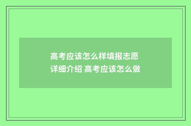 高考应该怎么样填报志愿 详细介绍 高考应该怎么做