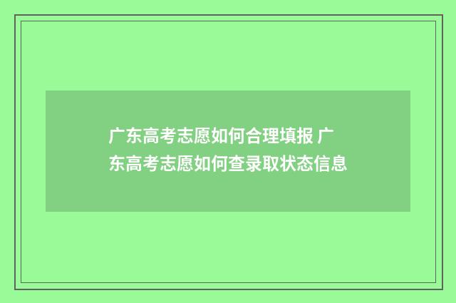 广东高考志愿如何合理填报 广东高考志愿如何查录取状态信息