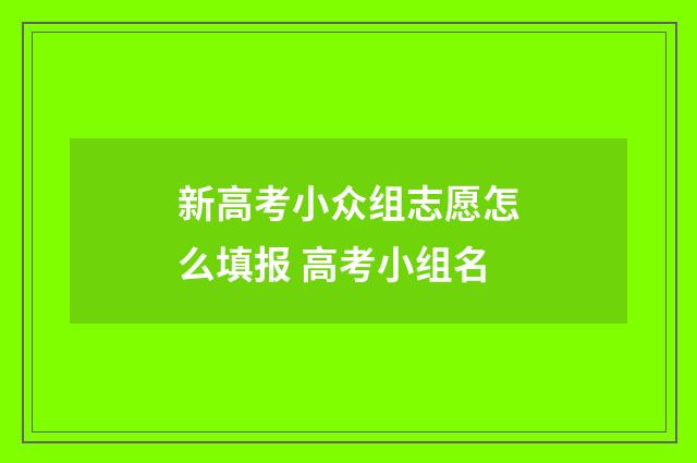 新高考小众组志愿怎么填报 高考小组名