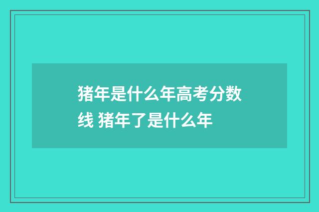 猪年是什么年高考分数线 猪年了是什么年