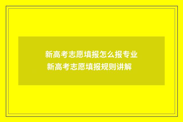 新高考志愿填报怎么报专业 新高考志愿填报规则讲解