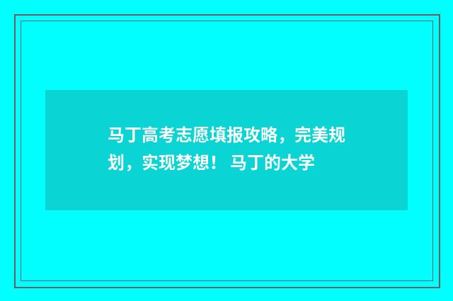马丁高考志愿填报攻略，完美规划，实现梦想！ 马丁的大学