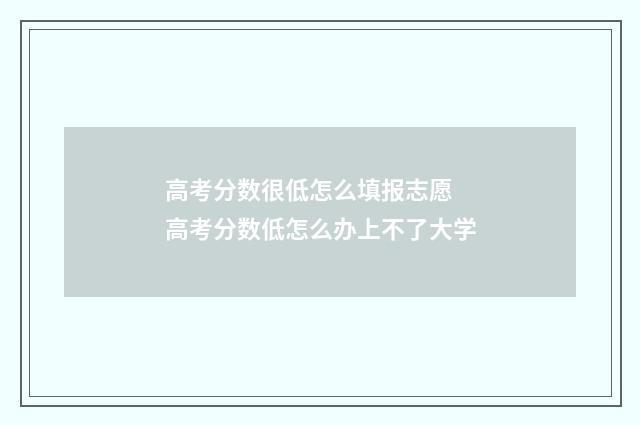 高考分数很低怎么填报志愿 高考分数低怎么办上不了大学