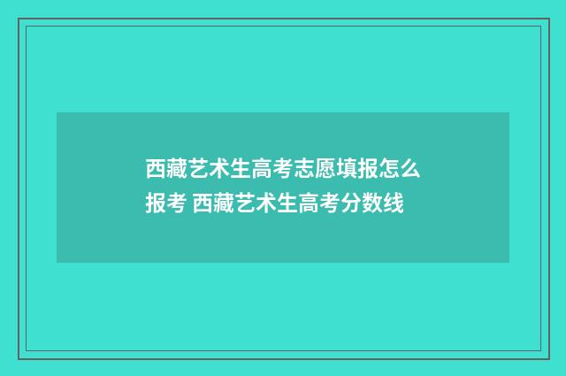 西藏艺术生高考志愿填报怎么报考 西藏艺术生高考分数线