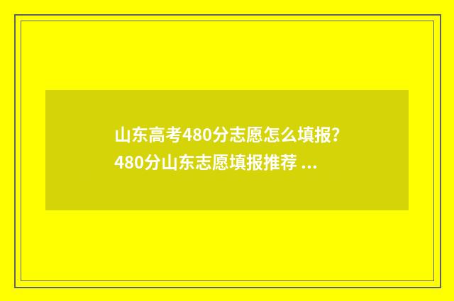 山东高考480分志愿怎么填报？480分山东志愿填报推荐 山东高考分数480分能上一本吗