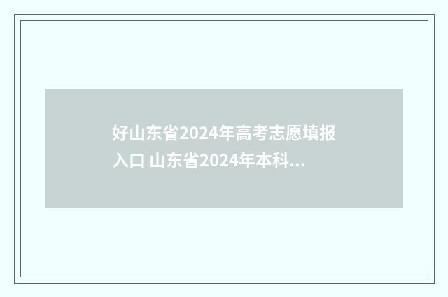 好山东省2024年高考志愿填报入口 山东省2024年本科分数线