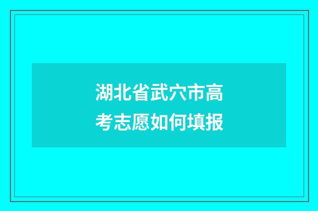 湖北省武穴市高考志愿如何填报