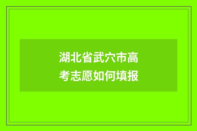 湖北省武穴市高考志愿如何填报