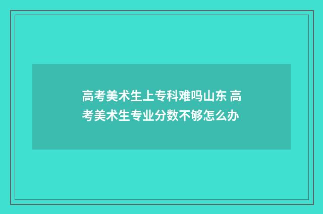高考美术生上专科难吗山东 高考美术生专业分数不够怎么办