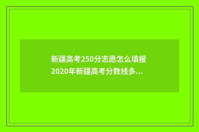 新疆高考250分志愿怎么填报 2020年新疆高考分数线多少