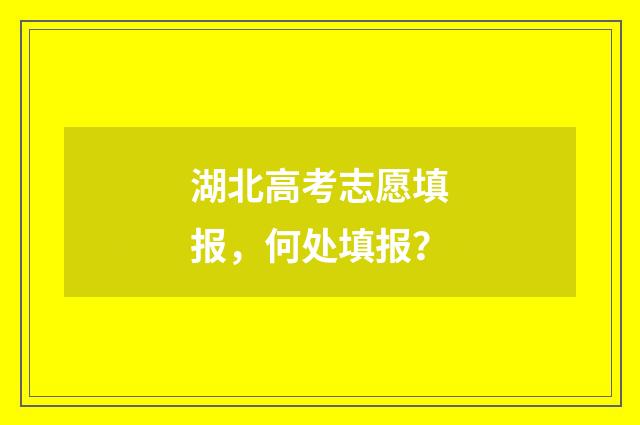 湖北高考志愿填报，何处填报？