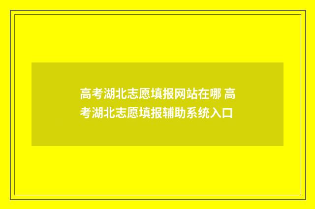 高考湖北志愿填报网站在哪 高考湖北志愿填报辅助系统入口