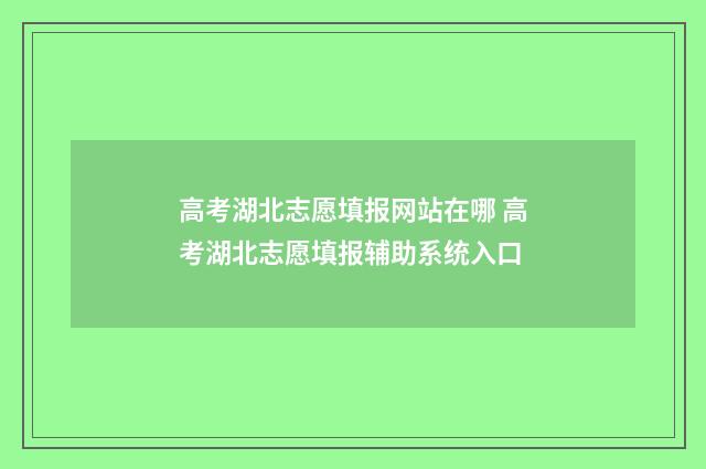 高考湖北志愿填报网站在哪 高考湖北志愿填报辅助系统入口
