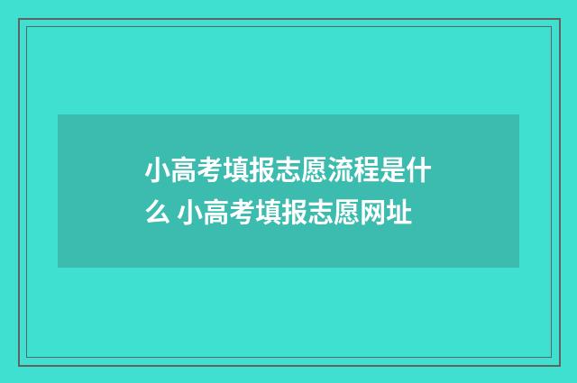 小高考填报志愿流程是什么 小高考填报志愿网址