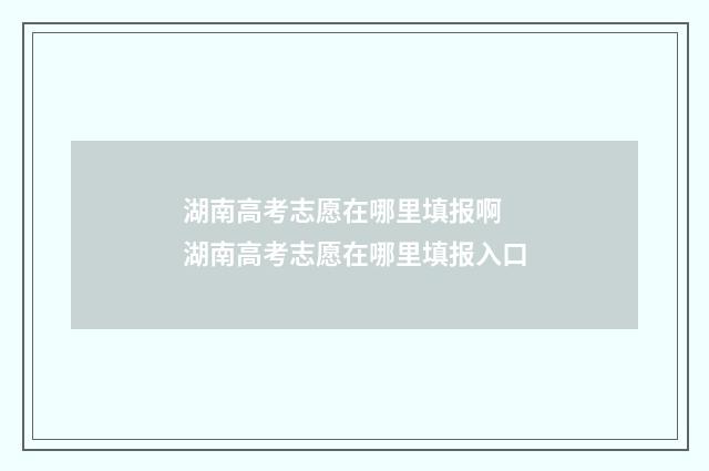 湖南高考志愿在哪里填报啊 湖南高考志愿在哪里填报入口