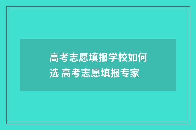 高考志愿填报学校如何选 高考志愿填报专家