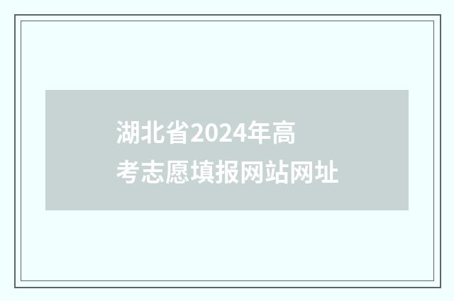 湖北省2024年高考志愿填报网站网址