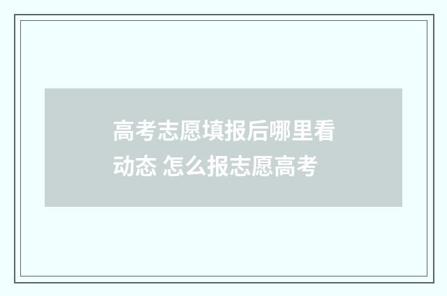 高考志愿填报后哪里看动态 怎么报志愿高考