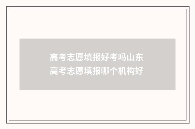 高考志愿填报好考吗山东 高考志愿填报哪个机构好