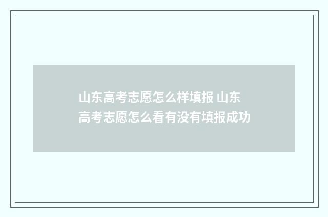山东高考志愿怎么样填报 山东高考志愿怎么看有没有填报成功