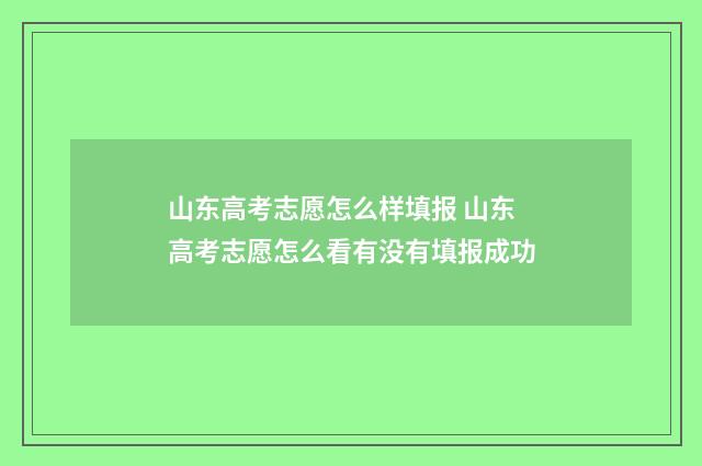 山东高考志愿怎么样填报 山东高考志愿怎么看有没有填报成功