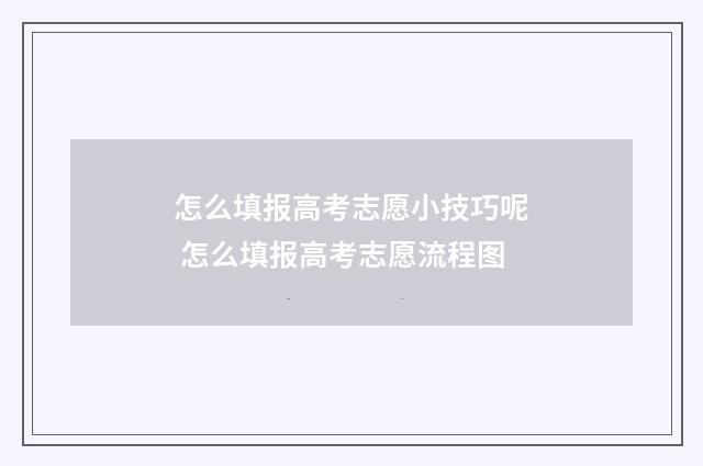 怎么填报高考志愿小技巧呢 怎么填报高考志愿流程图